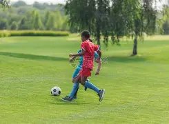 库库雷利亚,华丽逆袭,从场下嘘声,365bet中文版,365bet官网,365bet直播,365bet比分